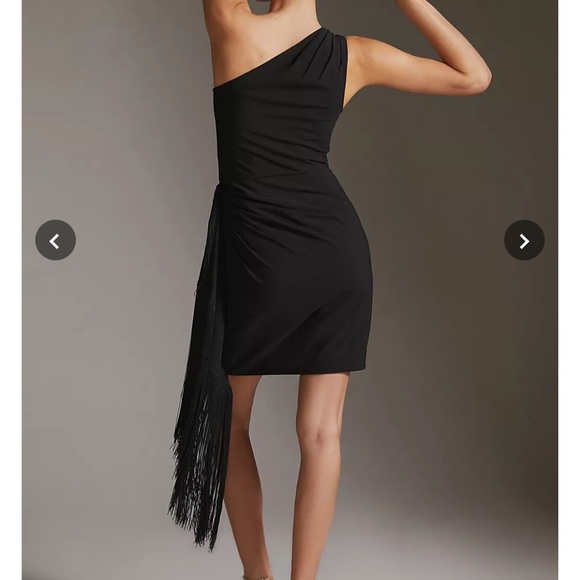 Anthropologie Hutch Fringe Mini Dress 👗 - Picture 4 of 8
